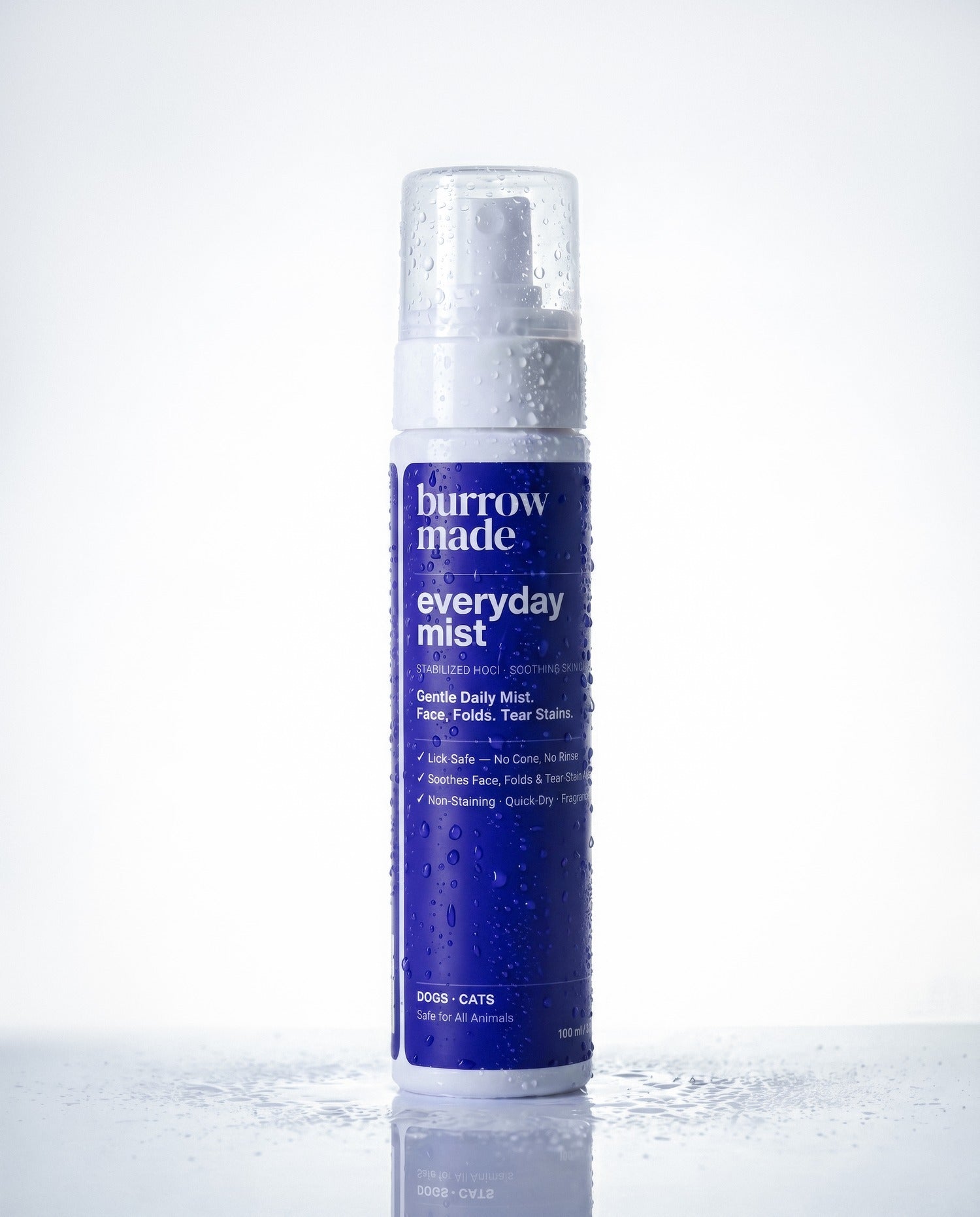 Everyday Mist — 100ml gentle daily mist bottle